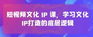 短视频文化IP课，学习文化IP打造的底层逻辑-一起网赚吧