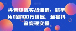 抖音矩阵实战课程：新手从0到100万粉丝，全套抖音变现实操-一起网赚吧