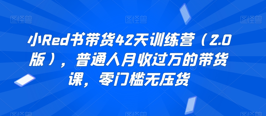 小Red书带货42天训练营（2.0版），普通人月收过万的带货课，零门槛无压货-一起网赚吧