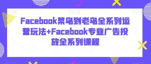 Facebook菜鸟到老鸟全系列运营玩法+Facebook专业广告投放全系列课程-一起网赚吧