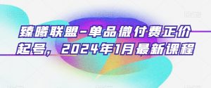 臻曦联盟-单品微付费正价起号，2024年1月最新课程-一起网赚吧