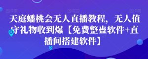天庭蟠桃会无人直播教程，无人值守礼物收到爆【免费整蛊软件+直播间搭建软件】-一起网赚吧