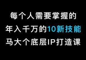 马大个的IP底层逻辑课,每个人需要掌握的年入千万的10新技能,约会底层IP打造方法!-一起网赚吧