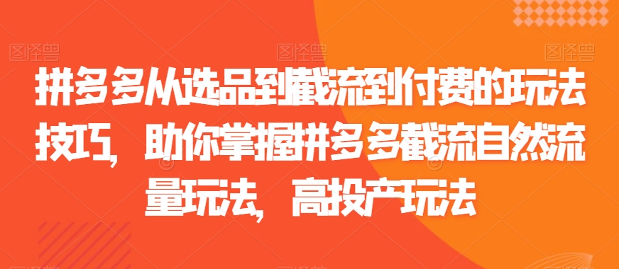 拼多多从选品到截流到付费的玩法技巧，助你掌握拼多多截流自然流量玩法，高投产玩法-一起网赚吧