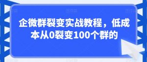 企微群裂变实战教程，低成本从0裂变100个群的-一起网赚吧