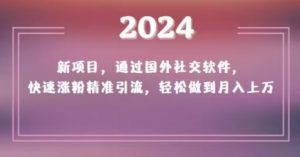 2024新项目，通过国外社交软件，快速涨粉精准引流，轻松做到月入上万【揭秘】-一起网赚吧