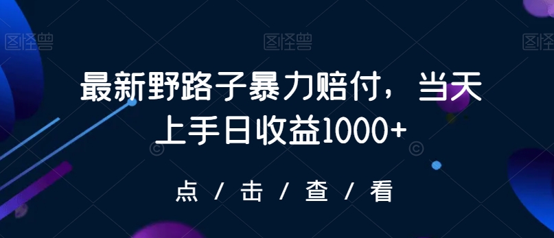 最新野路子暴力赔付，当天上手日收益1000+【仅揭秘】-一起网赚吧