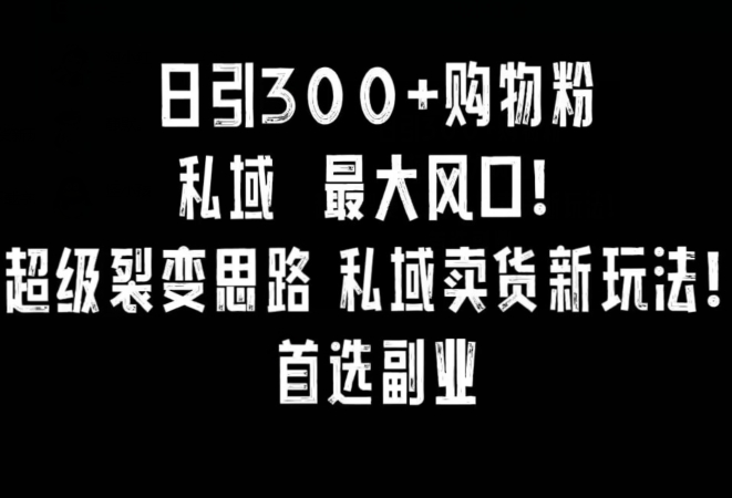 日引300+购物粉，超级裂变思路，私域卖货新玩法，小红书首选副业【揭秘】-一起网赚吧