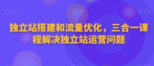 独立站搭建和流量优化，三合一课程解决独立站运营问题-一起网赚吧
