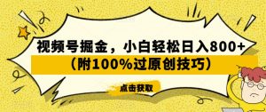 视频号掘金，小白轻松日入800+（附100%过原创技巧）【揭秘】-一起网赚吧