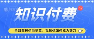 2024最新知识付费项目，小白也能轻松入局，全网都在教你做项目，我教你做镰刀【揭秘】-一起网赚吧