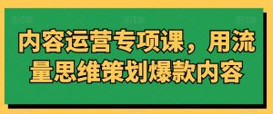 内容运营专项课，用流量思维策划爆款内容-一起网赚吧
