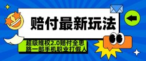 超级维权2.0全新玩法，2024赔付全思路职业打假一部手机搞定【仅揭秘】-一起网赚吧
