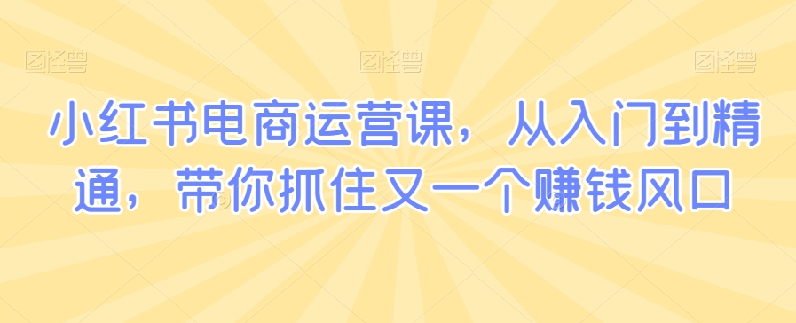 小红书电商运营课，从入门到精通，带你抓住又一个赚钱风口-一起网赚吧