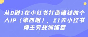 从0到1在小红书打造赚钱的个人IP（第四期），21天小红书博主实战训练营-一起网赚吧