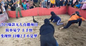 冷门爆款无人直播项目，简单易学上手快，变现快日赚2千不是梦【揭秘】-一起网赚吧