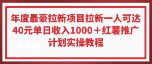 年度最豪拉新项目拉新一人可达40元单日收入1000＋红薯推广计划实操教程【揭秘】-一起网赚吧