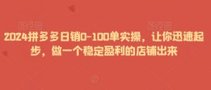 2024拼多多日销0-100单实操,让你迅速起步,做一个稳定盈利的店铺出来-一起网赚吧