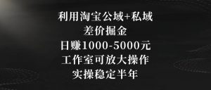 利用淘宝公域+私域差价掘金，日赚1000-5000元，工作室可放大操作，实操稳定半年【揭秘】-一起网赚吧