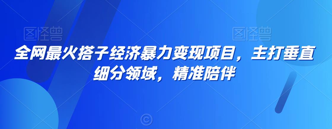 全网最火搭子经济暴力变现项目，主打垂直细分领域，精准陪伴【揭秘】-一起网赚吧