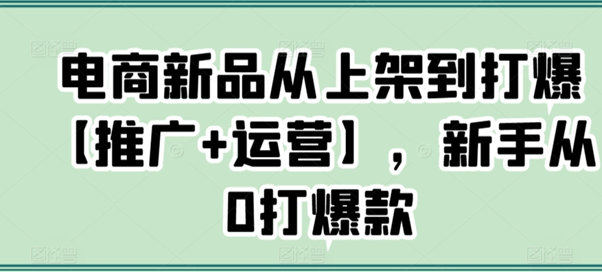电商新品从上架到打爆【推广+运营】，新手从0打爆款-一起网赚吧
