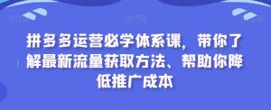 拼多多运营必学体系课，带你了解最新流量获取方法、帮助你降低推广成本-一起网赚吧