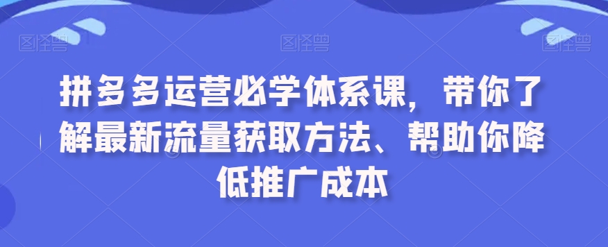 拼多多运营必学体系课，带你了解最新流量获取方法、帮助你降低推广成本-一起网赚吧