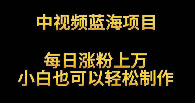 中视频蓝海项目，解读英雄人物生平，每日涨粉上万，小白也可以轻松制作，月入过万不是梦【揭秘】-一起网赚吧