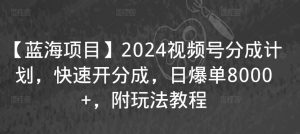 【蓝海项目】2024视频号分成计划，快速开分成，日爆单8000+，附玩法教程-一起网赚吧