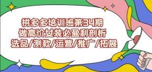 拼多多培训班第34期:做高价女装必盈利剖析选品/测款/运营/推广/拓展-一起网赚吧