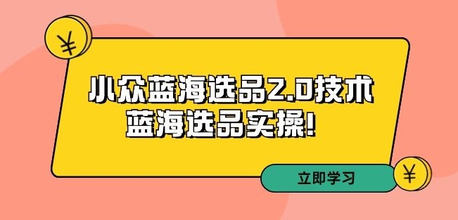 拼多多培训第33期：小众蓝海选品2.0技术-蓝海选品实操！-一起网赚吧
