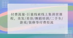 付费流量·巨量线索线上集训营课程，美发/美容/舞蹈培训/二手车/游戏/装修等付费投流-一起网赚吧