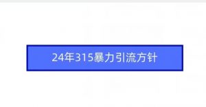 24年315暴力引流方针-一起网赚吧