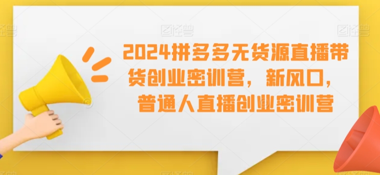 2024拼多多无货源直播带货创业密训营，新风口，普通人直播创业密训营-一起网赚吧