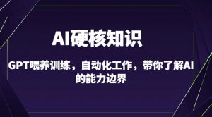 AI硬核知识-GPT喂养训练，自动化工作，带你了解AI的能力边界（10节课）-一起网赚吧