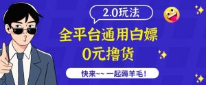 外面收费2980的全平台通用白嫖撸货项目2.0玩法【仅揭秘】-一起网赚吧