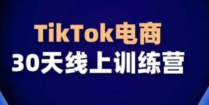TikTok电商带货30天线上课，不可错过的全球流量洼地！-一起网赚吧