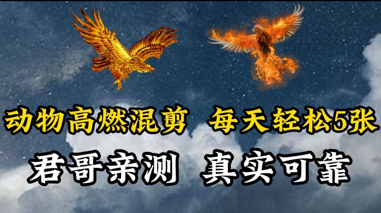 动物超燃混剪，每天轻松5张，剪辑简单大家爱看【揭秘】-一起网赚吧