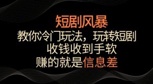 短剧风暴,教你冷门玩法,玩转短剧,收钱收到手软【揭秘】-一起网赚吧