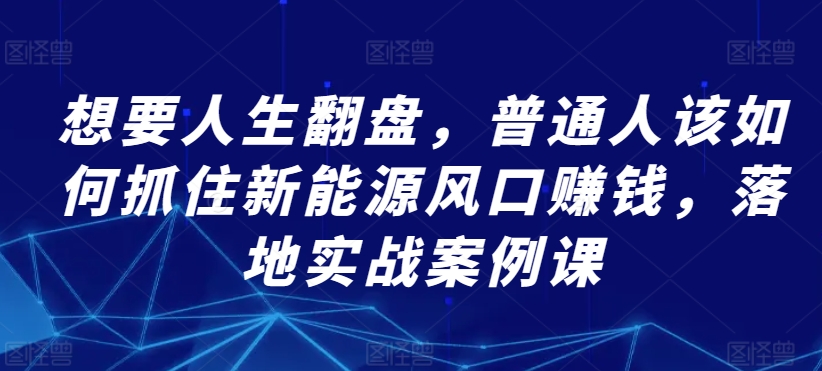 想要人生翻盘，普通人该如何抓住新能源风口赚钱，落地实战案例课-一起网赚吧
