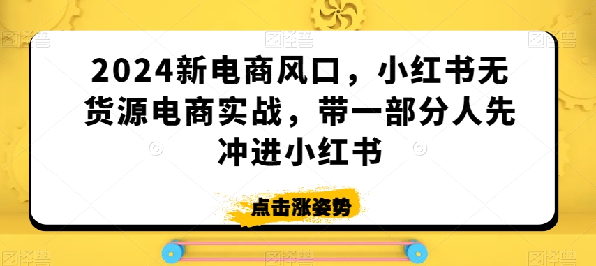 2024新电商风口，小红书无货源电商实战，带一部分人先冲进小红书-一起网赚吧