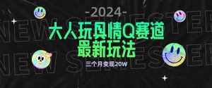全新大人玩具情Q赛道合规新玩法,公转私域不封号流量多渠道变现,三个月变现20W【揭秘】-一起网赚吧