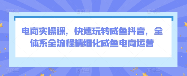 电商实操课，快速玩转咸鱼抖音，全体系全流程精细化咸鱼电商运营-一起网赚吧