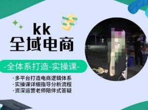 KK全域电商，全体系打造实操课，多平台打造电商逻辑体系-一起网赚吧