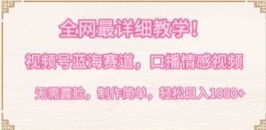 全网最详细教学，视频号蓝海赛道，口播情感视频，无需露脸，制作简单，轻松实现日入1000+【揭秘】-一起网赚吧