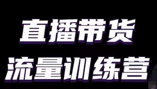 直播带货流量训练营，小白主播必学直播课-一起网赚吧