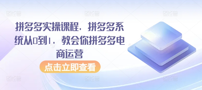 拼多多实操课程，拼多多系统从0到1，教会你拼多多电商运营-一起网赚吧