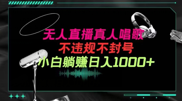 抖音24小时无人直播音乐，不违规，不封号纯撸音浪，小白实操当天日入1000+【揭秘】-一起网赚吧