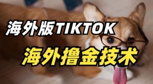 抖音海外版tiktok撸金技术，这个风口行业，赚钱真的不难【揭秘】-一起网赚吧
