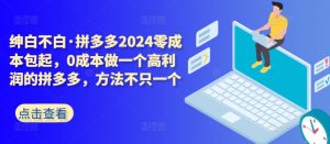 拼多多2024零成本包起，0成本做一个高利润的拼多多，方法不只一个-一起网赚吧